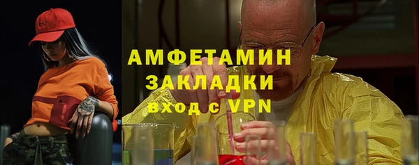 индика Сосновоборск