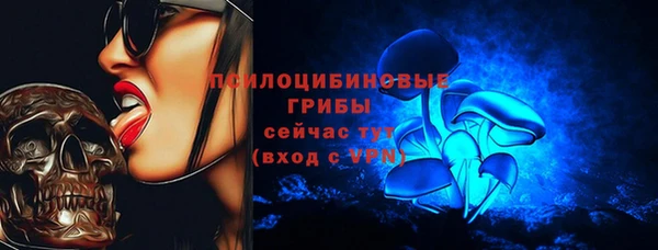 стафф Абинск