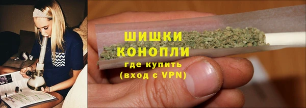 сатива Краснослободск