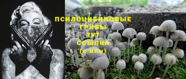 сатива Краснослободск